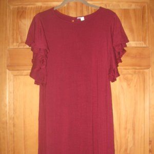 Francesca's Collections Miami Burgundy Mini Dress